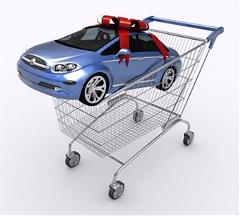 Car in shopping cart