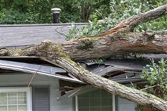 House tree damaged