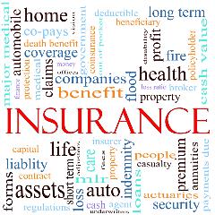 insurance word graphic